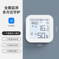 HEMUELE电子温湿度计室内家用精准婴儿房高精度气温显示器干湿蓝牙 充电款式[续航加倍柔和背光]