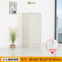 冀华美防火信息安全柜硬盘储存柜光盘柜CD电子设备防磁柜储物防火防磁柜 灰白色大九抽