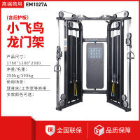 亿迈小飞鸟龙门架综合器械健身器材大全引体向上双臂机小飞鸟-EM1027A双臂机 (带后护板)