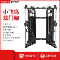 亿迈小飞鸟龙门架综合器械健身器材大全引体向上双臂机小飞鸟-EM1027双臂机 (不带后护板)