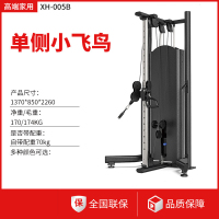 亿迈小飞鸟龙门架综合器械健身器材大全引体向上双臂机小飞鸟-XH-005B单侧小飞鸟