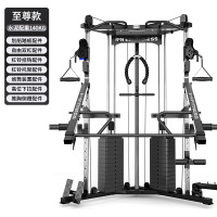 亿迈小飞鸟龙门架综合器械健身器材大全引体向上双臂机小飞鸟-EM1095A-B[双边配重]套餐2