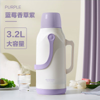 怡雅韵热水瓶家用保温壶暖瓶茶瓶大容量暖壶茶壶便携正品开水保温瓶 3.2L蓝莓香草紫