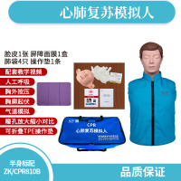ZJLQ心肺复苏模拟人CPR心脏复苏模型教学急救模型人工呼吸假人-半身标配