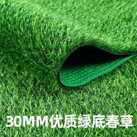ccko仿真草坪人工假草坪人造塑料草坪地毯幼儿园草坪户外婚庆绿色草皮*10平方米-春草3.0cm(优质)