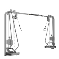 竞乐美健身房单功能力量训练器械 背肌腹部大小腿二头三头肩胸肌肉器材 WM-1116F大飞鸟训练器