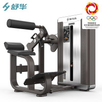 舒华商用力量训练器械多功能88系列健身房单位 SH-G8812 背肌伸展训练器