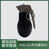 大唐御DSS-161声光模拟雷 教练弹模拟巡练教学教具黑色模型(100个)