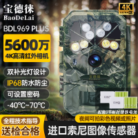 宝德徕红外监测相机969plus动物山林果园池塘仓库防盗感应拍照 标配+8节耐寒电池(耐寒-40度)