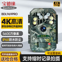 宝德徕红外监测触发相机BDL969PRO拍照录像野生动物IP68林草自然保护区 标配(支架+绑带+USB)+64G内存卡