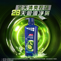 臻耀星途男士清爽控油蓬松套装正品清爽控油500g+沐浴露350g