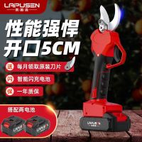 莱普森电动剪刀果园果树绿化修枝剪充电式便携锂电剪刀园林粗枝剪 旗舰款开口5.0CM双电池塑盒