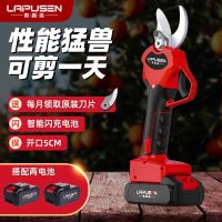 莱普森电动剪刀果园果树绿化修枝剪充电式便携锂电剪刀园林粗枝剪 尊享款开口5.0CM双电池塑盒
