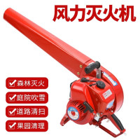 泰拉德森林消防大功率吹风机大棚吹雪机道路落叶 清理手提式风力灭火机