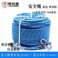 泰拉德安全绳户外防坠落登山保护绳尼龙绑绳高空作业滑翔速降静力绳子16mm粗100米长