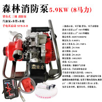 重虎 森林消防员移动扑火应急救援设备背负式抽水泵三级泵8马力SFB-8-B