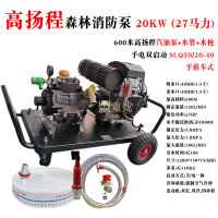 重虎 森林消防员扑火抢险救灾设备大流量水泵27马力SLQ50/20-40推车式