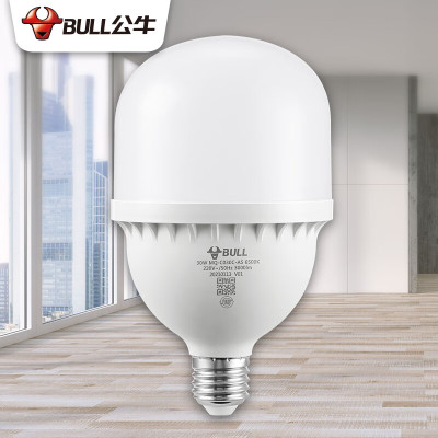 公牛(BULL)LED灯泡 E27螺口高亮柱形灯 厂房车间商超食堂 30W 白光6500K MQ-C030C-AS