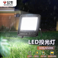 公牛(BULL)led投光灯 户外路灯广告园林照明灯 IP65 30W 白光6500K MG-A030A-AE