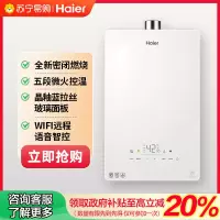 海尔(Haier) 燃气热水器 JSQ25-13KE5FXPGU1