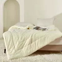 红秀世纺 糯糯奶昔被 SF2309-T003