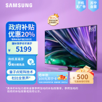 三星(SAMSUNG) 65英寸 Neo 量子点 Mini LED AI电视 120Hz QA65QNX9DAJXXZ