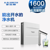 史密斯A.O.SMITH冷热一体机DR1600FS-W 4500升大容量支持制热滤芯报警设计