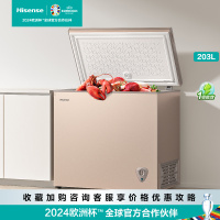 海信(Hisense) 203升 家商两用冰柜 断电保护 一级能效冷藏冷冻转换冰柜 单温卧式冷柜BD/BC-203NUD