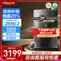 万和 一级能效 16升零冷水燃气热水器天然气 水量伺服恒温 超一级能效 小体积省空间 五重防冻LS9D16