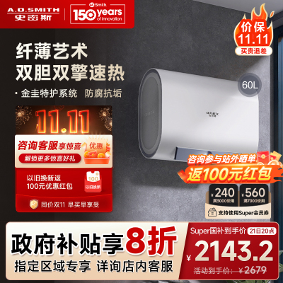 AO史密斯佳尼特 60升电热水器 纤薄双胆扁桶 金圭内胆 双棒双3kW速热 雪域白CTE-60HT1小尺寸71cm