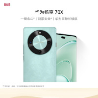 华为/HUAWEI 畅享 70X 256GB 湖光青 华为巨鲸长续航 双曲护眼屏 五星超耐摔 鸿蒙曲面屏手机 老人机学生机