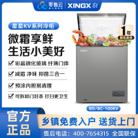 星星(XINGX)BC/BD-100KV商用家用小型两用柜单温冷藏冷冻转换一级能效高效减霜80%