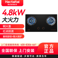 haotaitai好太太家用燃气灶具防烫4.8KW大火力 台嵌两用 可拆洗保洁炉头 纯铜火盖X401液化气 免费安装