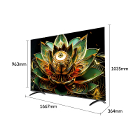 创维电视 75H5F Pro