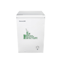 海信冷柜BD/BC-100NUX珍珠白(71号)