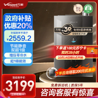 万和 一级能效 16升零冷水燃气热水器天然气 水量伺服恒温 超一级能效 小体积省空间 五重防冻LS9D16