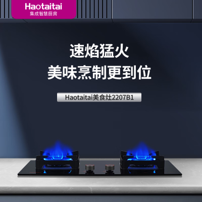 Haotaitai好太太家用燃气灶具JZT-2207B1 黑色防爆钢化玻璃面板 5.0kW大火力一级能效 天然气