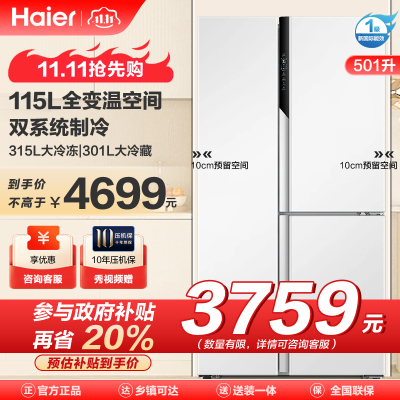 海尔(Haier)501升对开超薄嵌入式冰箱 全变温空间 双系统不串味 一级双变频 BCD-501WLHTS79W9U1