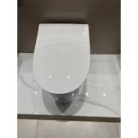 九牧智能马桶ZQ5346-S0-CJM305