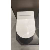 九牧智能马桶ZQ5350-S0-CJM305