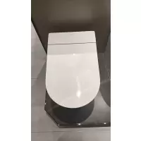 九牧智能马桶ZQ5350-S0-CJM305