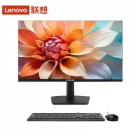 联想(Lenovo)生态品牌 异能者S240H 23.8英寸一体机电脑 (I5-12450H 16G 512G WIFI 音响 蓝牙) 黑色 官方标配