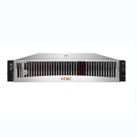 华三(H3C)R4930G5 信创2U服务器海光7255/32G/8T*5/1G阵列卡/4电口双电源