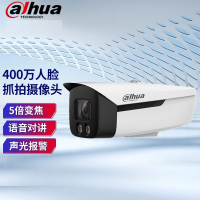 大华DH-IPC-HFW4443F1-ZYL-PV-SA变焦6~24mm枪式摄像头400万POE人脸双光夜视