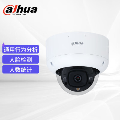 大华DH-IPC-HDBW4443R1-ZYL-PV-AS变焦2.7~13.5mm半球摄像头400万POE人脸双光夜视