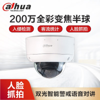 大华DH-IPC-HDBW4243R1-ZYL-PV-SA变焦2.7~13.5mm半球摄像头200万POE人脸双光夜视