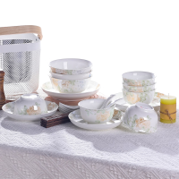 爱依瑞斯AS-D2606H梦幻花影26头陶瓷餐具