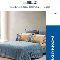 [八钢专用]水星家纺薇蓝物语可水洗云朵柔绒毯180cm×200cm 1100克