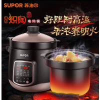 苏泊尔(SUPOR)DG60YC13 电炖锅 家用6L煲汤锅煮粥燕窝炖盅多功能锅快炖砂锅炖汤锅专柜同款