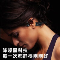 塞尔兰斯(Sayrelances)B30X 骨传导耳机 黑色 运动游泳登上户外防水带内存蓝牙耳机